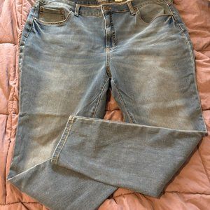 Time & Tru, 20 High Rise curvy jeans